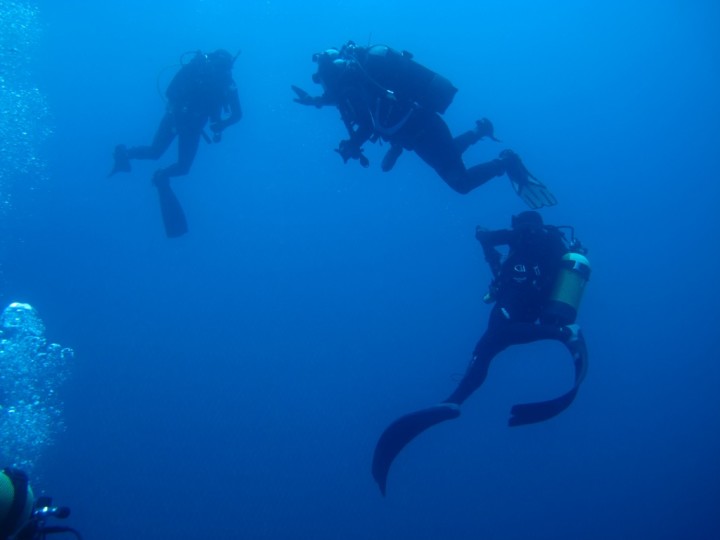 Corso per Operatore tecnico subacqueo (Centro Professionale Europeo Leonardo 2013)